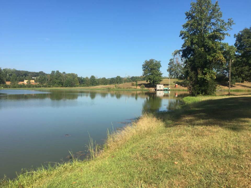 Deans Catfish Pond